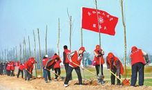 我的第一次志愿者服务