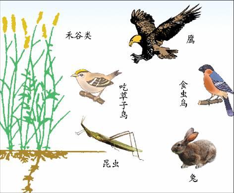 我是动物管理员