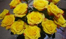 最幸福的一件事