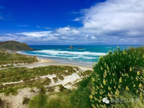 即将驶入大海的汽车
