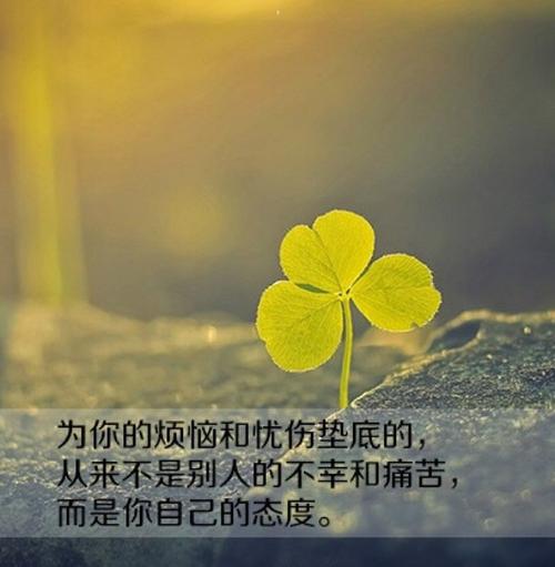 快乐的感觉