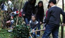 我给地球添新绿