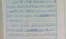 我的作文情结作文600字