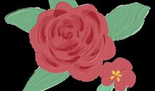 令人骄傲的鹃湖