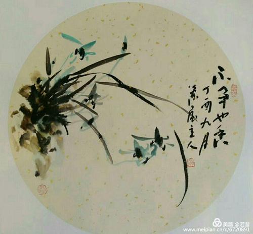 贯穿古今兰花