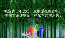 在风中放松下来