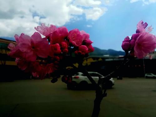 把握希望，绽放自我