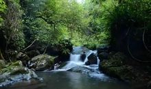 最美的森林公园