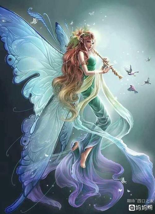 如果我是粉红色的仙女