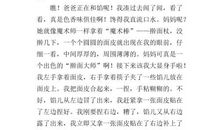 我学会了煮面条作文400字