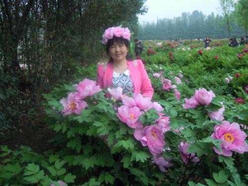 友谊之花永远绽放不败