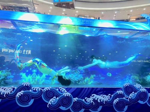 观看水母展览