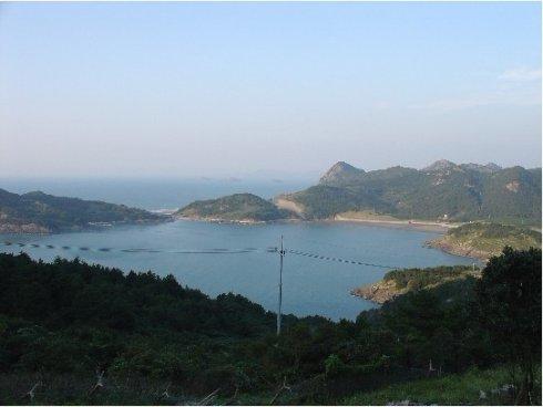 我的校园变化很大