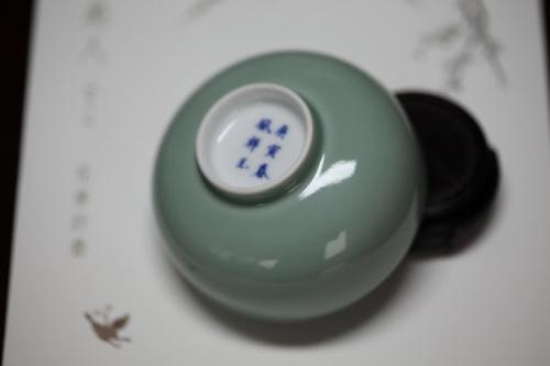 多样的春风