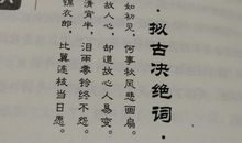 我努力读懂耿耿