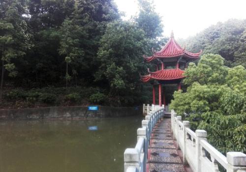 我家乡的利隆潭森林公园