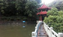 家乡的鲤龙潭森林公园