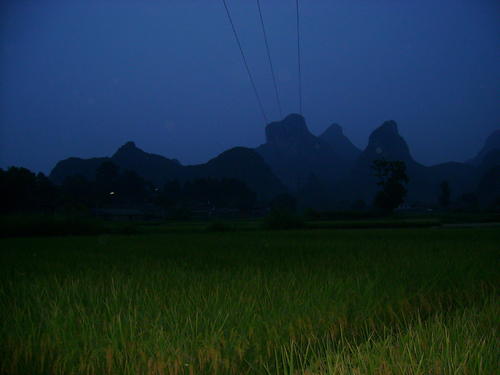 我爱这个国家的夜晚