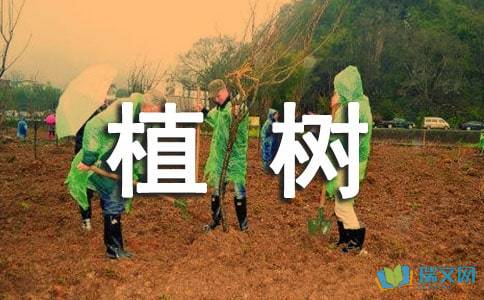 我种树，我很高兴