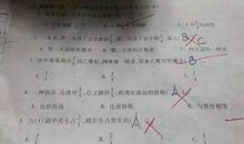 那一次我学会了宽容作文