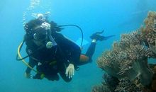 难忘的三亚深潜