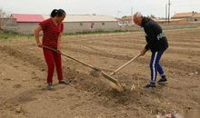 相亲相爱四兄弟