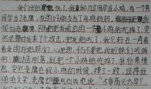 我喜欢的一件事