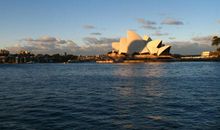 澳洲游学之疯狂的跳水