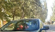 我的第一次胆战心惊