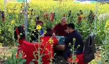 有趣的植树活动