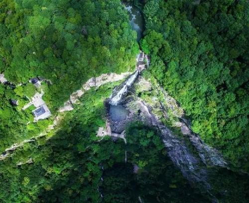 森林妈妈的心愿