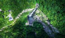 森林妈妈的愿望