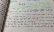 这儿风景独好作文500字