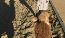 不与成功失之交臂