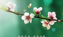 守望春天共同战疫