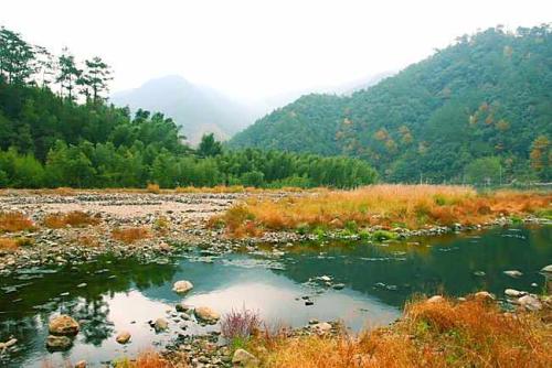 思明山在秋天