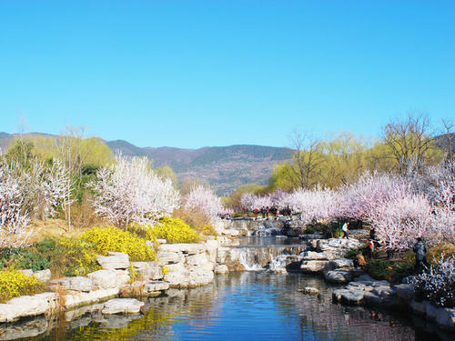 第一次去植物园