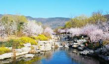 第一次去植物园