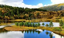 听说风景曾来过