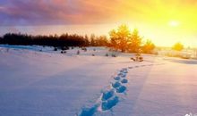 邂逅每一个动人的瞬间