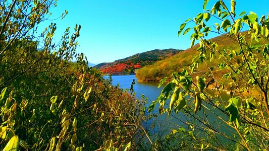 南方花园秋天风景