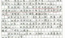 我也追星作文600字