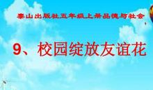 友谊之花在校园绽放