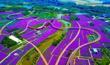 田野里的快乐时光