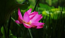 听雨抚风的感觉