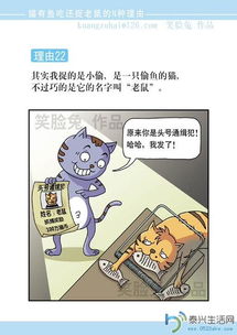 启示