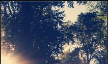 那一缕灿烂的阳光