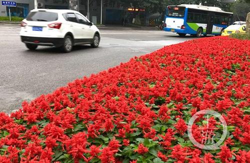 冬天的温暖