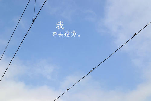 阴影使我遥不可及