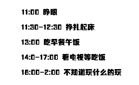 不同的寒假计划